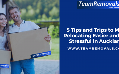 Tips to Make House Relocation Easier and Less Stressful in Auckland!