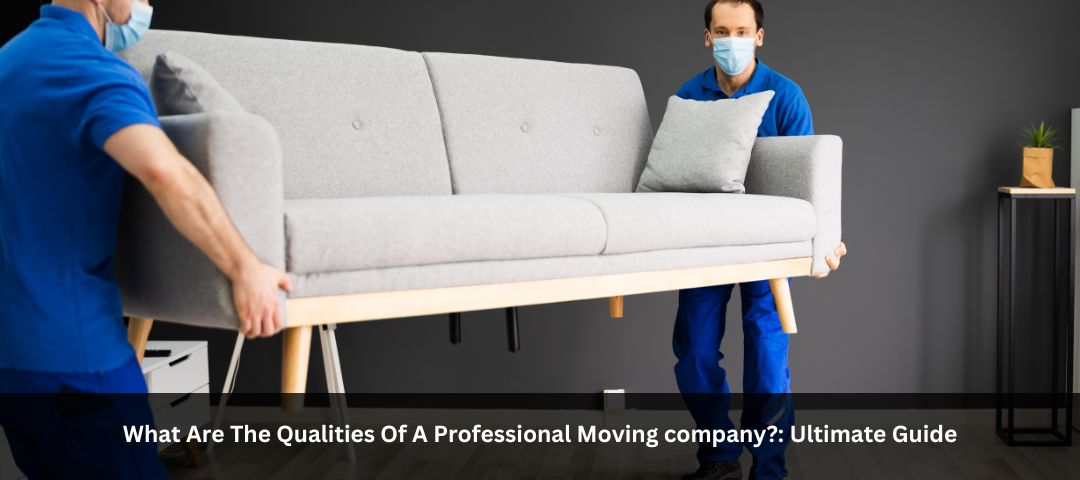 What Are The Qualities Of A Professional Moving company Ultimate Guide