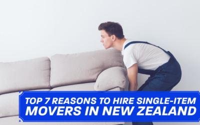 Top 7 Reasons to Hire Single-Item Movers in New Zealand