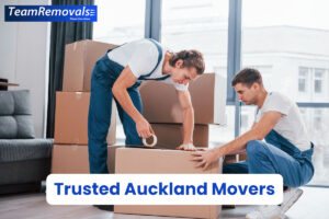 Top Reasons to Trust Auckland Movers for Your Next Move