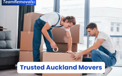 Top Reasons to Trust Auckland Movers for Your Next Move