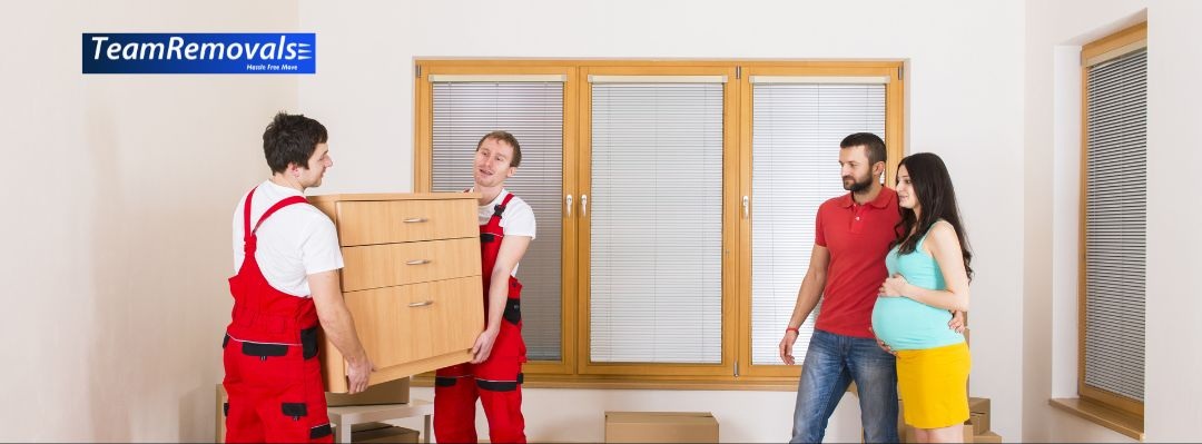 Auckland Movers: Services to Simplify Your Relocation