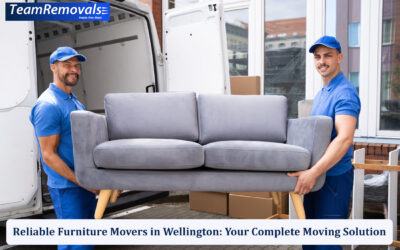 Reliable Furniture Movers in Wellington: Your Complete Moving Solution