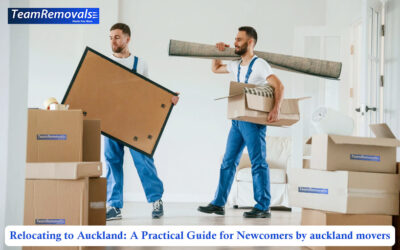 Relocating to Auckland? A Practical Guide for Newcomers by Auckland Movers
