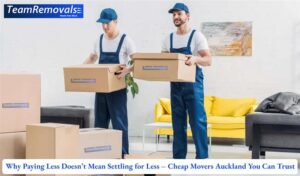 Why Paying Less Doesn’t Mean Settling for Less – Cheap Movers Auckland You Can Trust