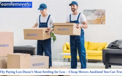 Why Paying Less Doesn’t Mean Settling for Less – Cheap Movers Auckland You Can Trust