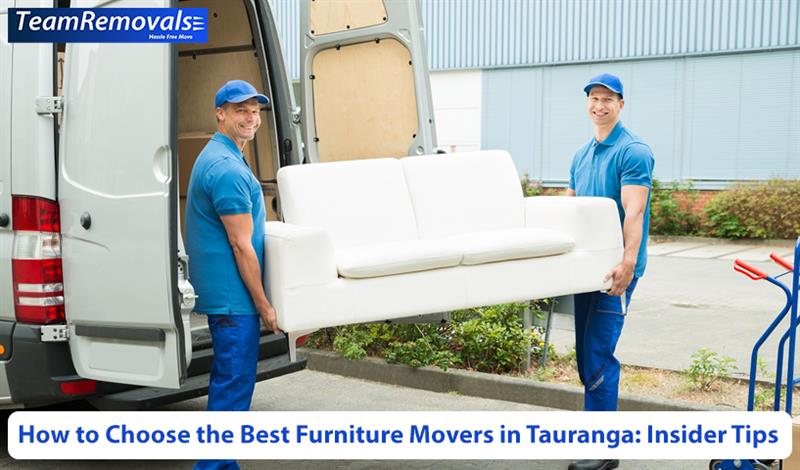 furniture movers
