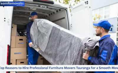 Top Reasons to Hire Professional Furniture Movers Tauranga for a Smooth Move