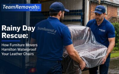 Rainy Day Rescue: How Furniture Movers Hamilton Waterproof Your Leather Chairs