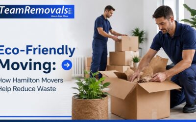 Eco-Friendly Moving: How Hamilton Movers Help Reduce Waste