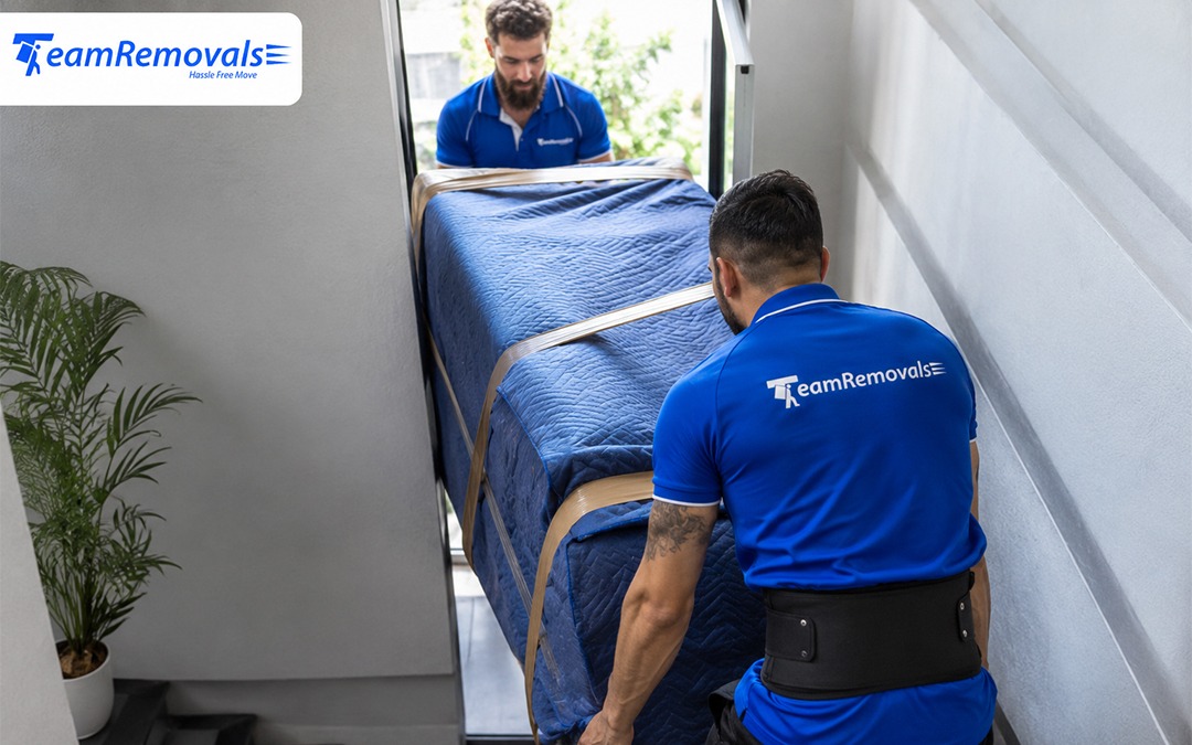 furniture movers wellington